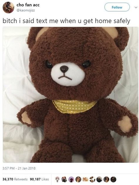 Angry Bear, Great Memes, Best Funny Jokes, Random Memes, Internet Funny, Popular Memes, For Today, Funny Posts, Dankest Memes