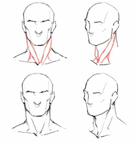 남성 근육, Neck Drawing, 얼굴 드로잉, Body Drawing Tutorial, Human Anatomy Drawing, 얼굴 그리기, Blog Art, Human Anatomy Art, Anatomy Sketches