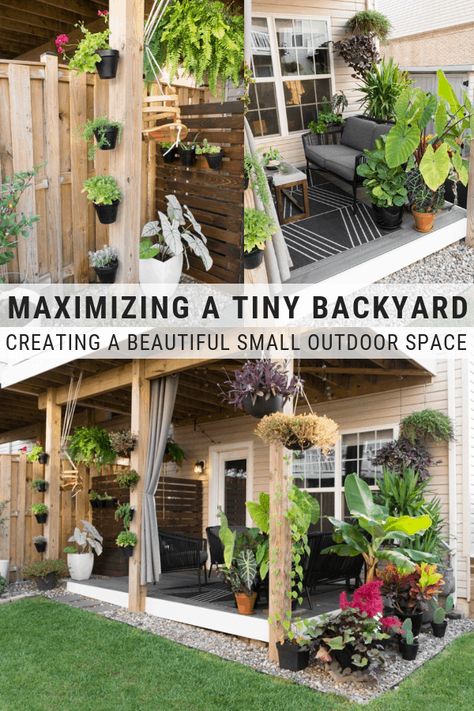 My tiny backyard updates this summer, including tons of small townhouse patio ideas, ideas for tropical plants to create privacy, and ideas for gardening in a small backyard. Townhouse Patio Ideas, Townhouse Patio, Backyard Updates, Small Townhouse, Tiny Backyard, Backyard Gardens, Small Backyard Gardens, Small Outdoor Spaces, Small Yard