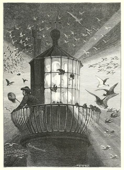 no more canaries in the mine Lovely Sketches, Lantern Illustration, Nautical Aesthetic, Lighthouse Keeper, Bird Migration, The Wave, Ink Pen Drawings, Pretty Art, Vintage Illustration