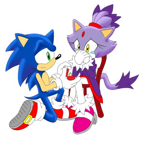 Sonaze - The Proposal WIP by Sonicguru Sonic And Tails, Sonic Exe, Rouge The Bat, Sonic Heroes, Silver The Hedgehog, Sonic And Amy, Sonic Funny, Sonic Fan Characters, The Proposal