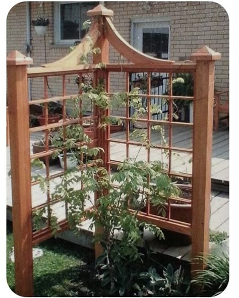 Corner Trellis, Backyard Trellis, Wisteria Pergola, Boho Deck, Wisteria Plant, Garden Obelisk, Diy Trellis, Pergola Garden, Corner Garden