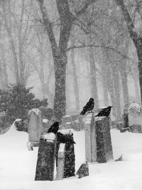 Gothic Aestethic, White Goth Aesthetic, Paradis Sombre, Gothic Winter, White Goth, Doom Metal, Travel Architecture, Ghost Story, Dark Christmas