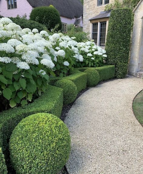 Modern Garden Design Ideas, Hydrangea Landscaping, Boxwood Garden, Garden Hedges, Topiary Garden, Front Garden Design, Front Yard Garden Design, Garden Vegetables, Fall Garden Vegetables