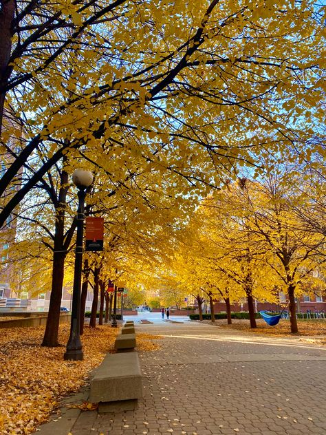 Fall Campus Aesthetic, College Town Aesthetic, Fall College Aesthetic, Fall Semester Aesthetic, College Campus Aesthetic, Community College Aesthetic, Campus Aesthetic, Sweats Set, Fall Shoot