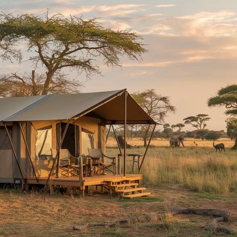 Relax in a treehouse lodge in Tarangire! Book now: tanzaniasafaristours.com 🌳 #PrimeUgandaSafaris #Tanzanialuxurysafaris #SafariinTanzania #Tanzaniavacation #tanzaniasafarivacation Savanna Aesthetic, Tanzania Aesthetic, Tanzania Wildlife, Vision Board Travel, Tanzania Travel, Ngorongoro Crater, Tanzania Africa, Tanzania Safari, Serengeti National Park