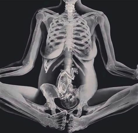 Spiritual Midwifery, Human Skeleton Anatomy, Pregnancy Art, Yoga Center, Pregnancy Yoga, Prenatal Yoga, Kids Sleep, Anatomy Art, Prenatal