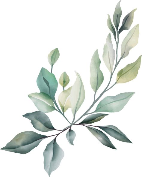 Leaves, flowers in watercolor for decoration. Lime green and gray color. Flowers In Watercolor, Leaf Watercolor, Vector Infographic, Verde Lima, Leaf Border, Leaf Designs, Diy Watercolor Painting, Green And Gray, Watercolor Plants