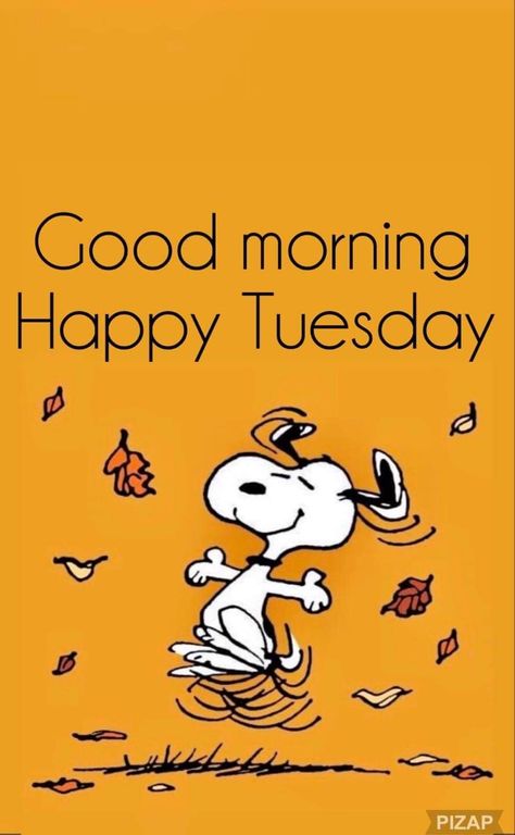 Happy Tuesday Pictures, Happy Tuesday Morning, Good Morning Snoopy, Happy Tuesday Quotes, Good Morning Tuesday, Tuesday Quotes, Snoopy Quotes, Morning Post, Autumn Morning