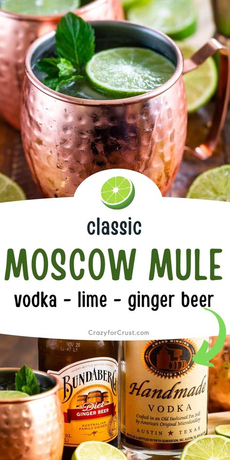 Vodka Mule Recipe, Ginger Beer Mule, Acholic Drinks, Ginger Beer Drinks, Wine Mixed Drinks, Moscow Mule Drink, Mule Drink, Ginger Beer Recipe, Easy Cocktail Recipe