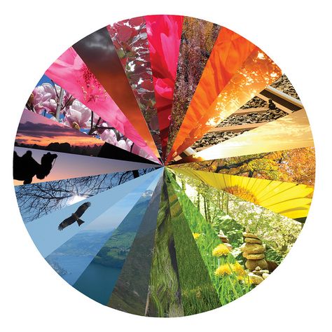 Color wheel by horomon Color Wheel Photography, Colour Wheel Sketchbook Page, Color Wheel Projects, Prettiest Colors, Color Wheel Art, Color Theory Art, Color Wheels, 6th Grade Art, Colour Wheel