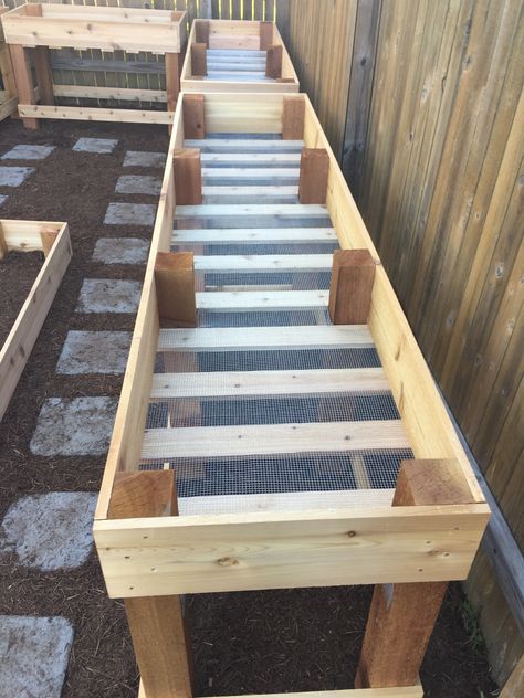 Diy Raised Garden Beds, Elevated Garden, Raised Gardens, Garden Raised Beds, Elevated Gardening, Vegetable Beds Raised, Garden Beds Diy, Beds Diy, Building A Raised Garden