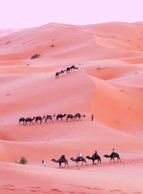 Photo | Runaway Gypsy | Bloglovin’ Desert Area, Libya, Sand Dunes, Pretty Places, Tunisia, Oh The Places Youll Go, Adventure Awaits, Travel Bucket, A Group