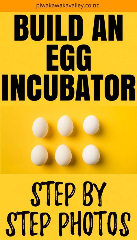 Are you wondering how to make an incubator at home? Every Spring the urge for baby chicks kicks in! What is more exciting than incubating and hatching your own chicks?! Follow this DIY egg incubator step by step guide to build a cheap and effective egg incubator. Incubating Chicken Eggs At Home, Diy Chicken Incubator, Diy Incubator Eggs, Diy Incubator Chicken, Incubators For Chicken Eggs Diy, Diy Egg Incubator How To Make, Homemade Incubator Diy, Incubators For Chicken Eggs, How To Build A Egg Incubator