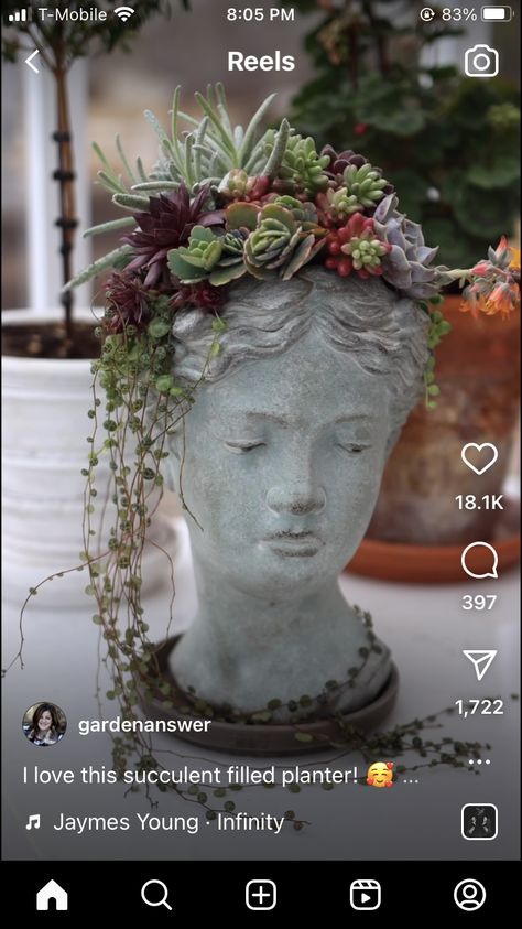 Statue Head, Garden Answer, Succulent Garden Design, Succulent Garden Diy, Container Gardening Flowers, Head Planters, Succulent Gardening, Have Inspiration, Topiaries