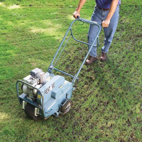 13 Ways to Prep Your Lawn and Garden for Fall Reseeding Lawn, Fall Maintenance, Organic Lawn Care, Home Maintenance Checklist, Lawn Care Tips, Aerate Lawn, Maintenance Checklist, Lush Lawn, Lawn Maintenance