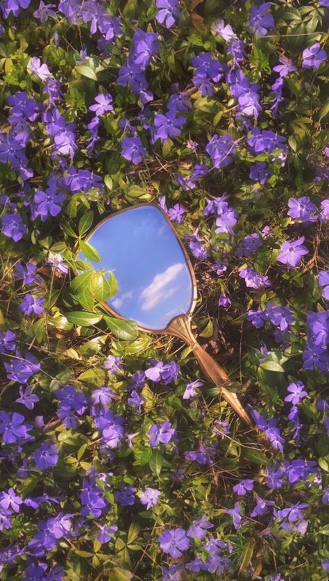 Spring Wallpaper Aesthetic, Trending Pins, Spring Wallpaper, Wallpaper Aesthetic, Mirror, Tumblr, Purple