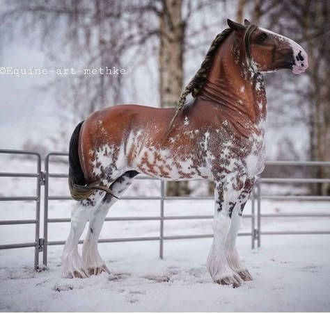 Bryer Horses, Cute Horse Pictures, Beautiful Horse Pictures, Barrel Racing Horses, Horse Inspiration, Hobby Horses, Photography Painting, Most Beautiful Horses, Custom Horse