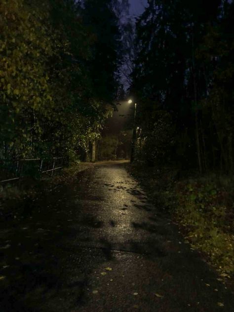 late rainy fall night Rainy Fall Night, Rainy Walk Aesthetic, Rainy Road Night, Nature Rain Wallpaper, Dark Rainy Night Aesthetic, Rainy Sidewalk, Rainy Midnight, Rainy Night Sky, Night Walks Aesthetic