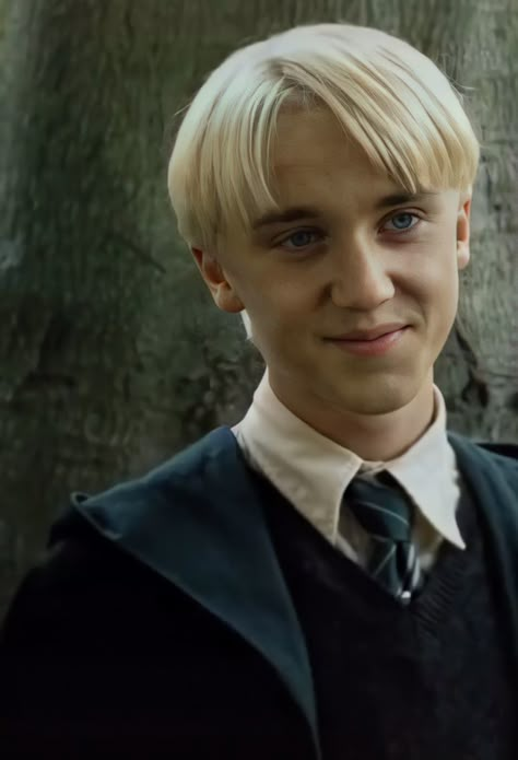 Drako Malfoy, Malfoy Family, Draco Malfoy Hot, Draco Malfoy Imagines, Harry Potter Painting, Draco Malfoy Aesthetic, Tom Felton Draco Malfoy, Draco Harry Potter, Harry Potter Draco Malfoy