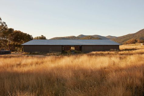 Shiplap Cladding, Corrugated Metal Roof, Architect Drawing, Yellow Plants, Tamworth, Rural House, Internal Courtyard, Metal Siding, Stone Siding