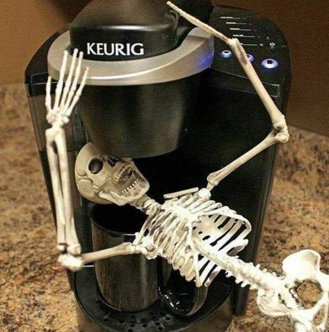 Skeleton Pics, Silly Skeleton, Fun Diy Halloween Decorations, Funny Skeleton, A Skeleton, Need Coffee, Oui Oui, Coffee Love, Coffee Quotes