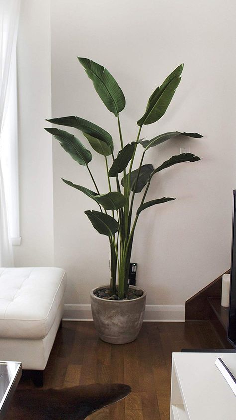 Large Fake Plants, Tall Fake Plants, Plant Decor Living Room, Living Room Plants Decor, Faux Plants Decor, Birds Of Paradise Plant, Tall Indoor Plants, Best Artificial Christmas Trees, Bird Of Paradise Plant