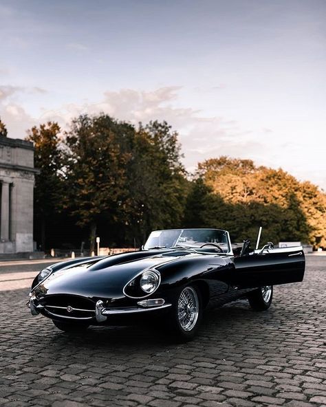 Old Jaguar, Jaguar Type, Jaguar Daimler, Vintage Sports Cars, Jaguar F Type, Jaguar E, Jaguar Car, Jaguar E Type, Automotive Photography