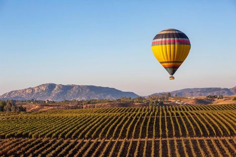 📌A girls trip to Napa is a must! European Breakfast, Hot Air Balloon Ride, Temecula California, Balloon Flights, Hot Air Balloon Rides, Air Balloon Rides, California Dreamin', Hot Air Balloon, Air Balloon