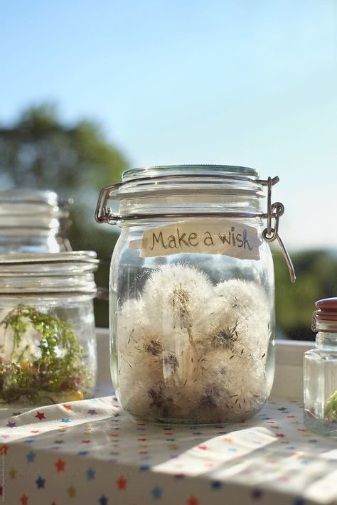 A Dandelion, Dandelion Wish, In A Jar, Mason Jar Mug, Screen Savers, Make A Wish, Design Elements, Mason Jars, Dandelion