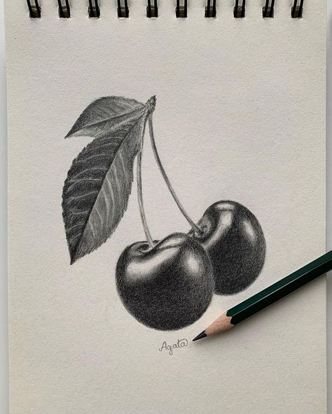 Let's step into the vibrant realm of cherry illustration! Our guide offers excting tips and insights to elevate your cherry art to the next level. Cherry Pencil Drawing, Cherry Drawing Pencil, Natural Form Drawing, Cherry Art Drawing, Cherries Drawing, Shaded Art, Tone Drawing, Cherry Illustration, Basic Drawings