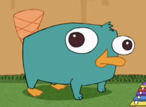 Perry The Platypus As A Human, Perry The Platypus Funny, A Platypus Perry The Platypus, Phineas And Ferb Pfp, Perry Platypus, Phineas And Ferb Perry, Phineas E Ferb, Fart Humor, Perry The Platypus