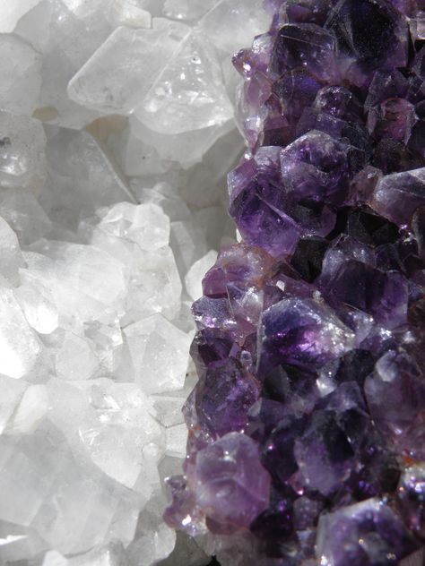 photo: Susan Haldeman Macro Lens Photography, Crystal Photography, Stone Lighting, Violet Aesthetic, Crystal Aesthetic, Purple Gems, Insta Ideas, Diy Fairy, Crystal Geode