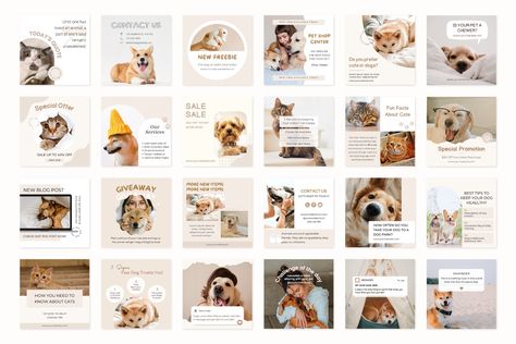 Pet Branding, Cat Instagram, Dog Grooming Salons, Dog Salon, Dog Store, Animal Hospital, Small Business Owners, Happy Animals, Instagram Post Template