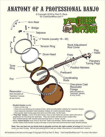 Banjo anatomy Diy Banjo, Banjo Building, Guitar Diy, Diy Instruments, Drum Head, Facts For Kids, Guitar Chords, Banjo, Woodworking Shop