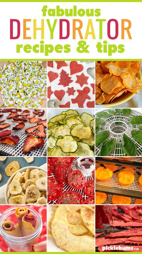 Dry! Dry! Dry! Fabulous Dehydrator Recipes and Tips. - Picklebums Nutrichef Dehydrator Recipes, Things You Can Dehydrate, Pampered Chef Dehydrator Recipes, Dried Food Recipes, Foods That Can Be Dehydrated, How To Dehydrate Food, Easy Dehydrator Recipes, What Can I Dehydrate, Dehydrator Candy