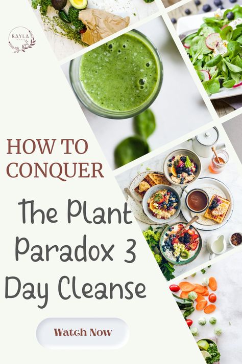 Image with text, “ How To Conquer The Plant Paradox 3-Day Detox. Watch Now” Micro Biome, Lectin Free Diet, 3 Day Cleanse, Heal Your Gut, Gut Healing Recipes, Plant Paradox, Gut Health Recipes, 3 Day Detox, Healing Recipes