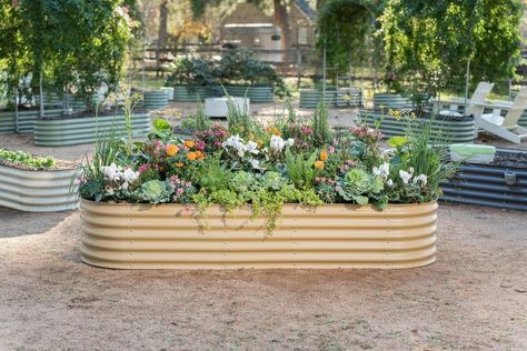 Vego Garden (@vego_garden) • Instagram photos and videos Modular Garden Beds, Modular Raised Garden Beds, Outdoor Raised Garden Beds, Vego Garden, Raised Garden Bed Kits, Raised Garden Bed Plans, Raised Planter Beds, Vegetable Planters, Metal Raised Garden Beds