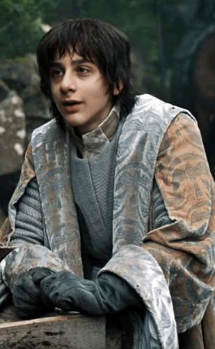 Robin Arryn (Lino Facioli) Robin Arryn, Jon Arryn, House Arryn, House Tully, Got Costumes, Game Of Thrones Series, King Robert, Game Of Thrones Tv, Red Hood Jason Todd