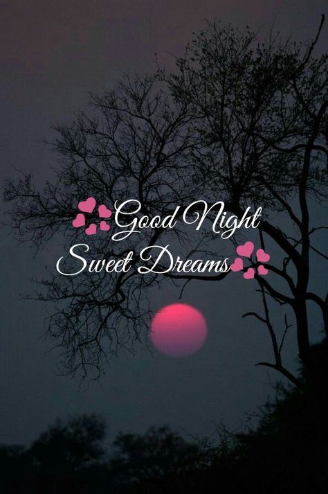 Good Night Greetings Quotes, Beautiful Good Night Images With Quotes, Good Night Sweet Dreams My Love, Beautiful Good Night Images Sweet Dreams, Good Night Wishes Good Night Wishes Beautiful, Good Night Sweet Dreams Cute Beautiful, Sweet Dreams Good Night Gif, Good Night Sweet Dreams I Love You, Good Night Sweet Dreams Love