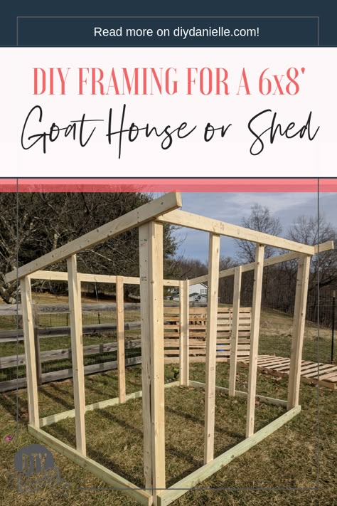 How to Build a Goat House: Supplies & Framing - This 6x8' shed was my first big build and it's PERFECT for our goats. #goats #diy #woodworking #homesteading 6x8 Shed, Goat Shed, Livestock Shelter, Goat Shelter, Goat Pen, Goat House, Goat Barn, Simple Shed, Diy Shed Plans