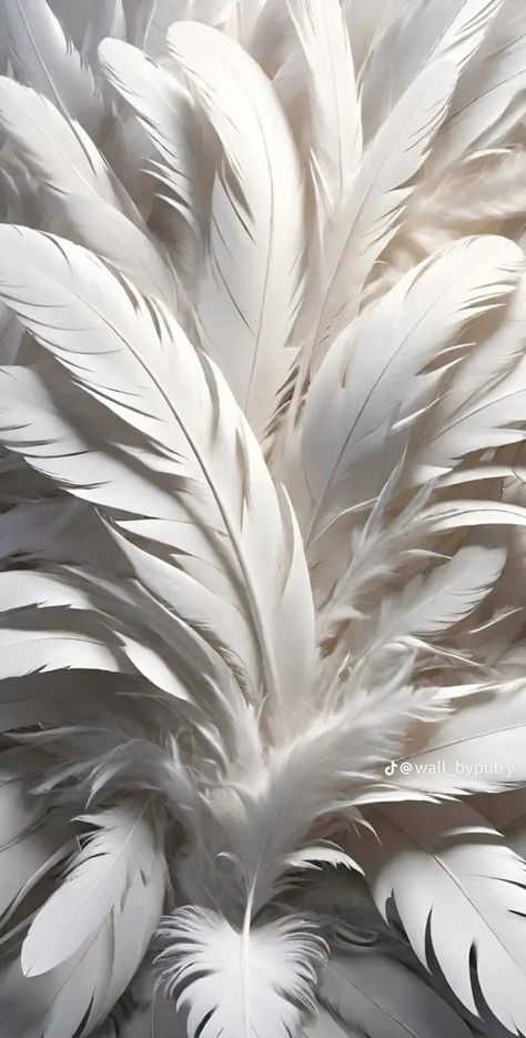 Feather Background Wallpapers, White Feather Aesthetic, Feather Wallpaper Iphone, Feather Aesthetic, Boards Wallpaper, Feathers Wallpaper, Aesthetic Exterior, Healing Aesthetic, Outside Aesthetic