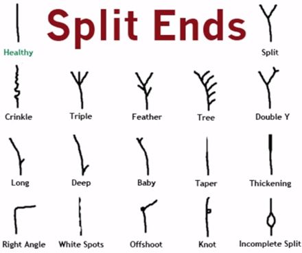 The 16 types of split ends Castor Oil Eyebrows, Hair Growth Charts, Hair Science, Stop Hair Breakage, Split Hair, Types Of Hair, Natural Hair Tips, Hair Breakage, Split Ends