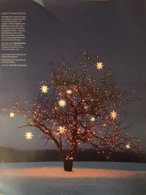 Moravian Stars from Martha Stewart Living Martha Stewart Christmas Decorations, Moravian Star, Martha Stewart Fall, Martha Stewart Christmas, Christmas Feeling, Christmas Inspo, Last Christmas, Winter Solstice, Merry Little Christmas