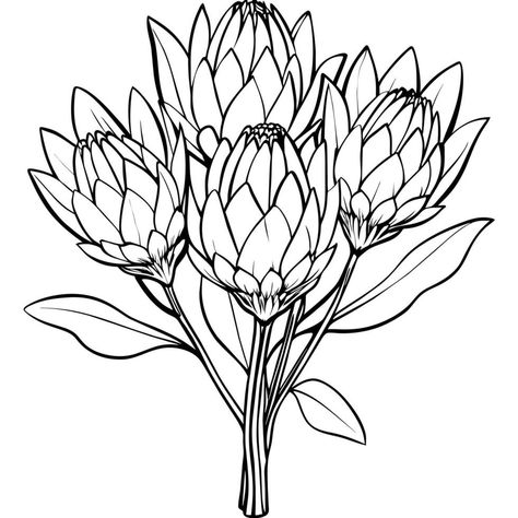 Protea Line Drawing, Protea Drawing, Protea Flower Drawing, Protea Art, Protea Flower, Outline Illustration, Flower Outline, Drawing Games, 3d Painting