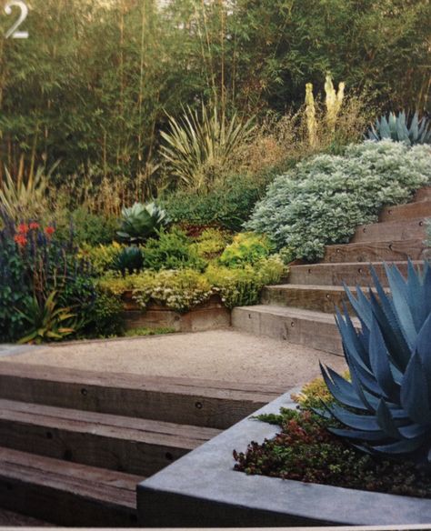 Terrace Steps, Railroad Ties Landscaping, Garden Flooring, Landscape Stairs, Railroad Ties, Landscape Steps, Hillside Garden, Sloped Backyard, Garden Stairs