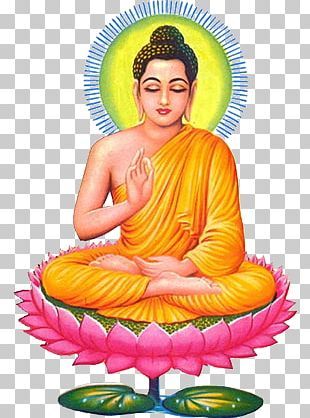 Gautam Budha Wallpepar Hd, Buddha Png Hd, Goutam Budha Hd Photo, Gouthama Buddha Images, Buddha Png, Gautam Buddha Image, Iphone Wallpaper Water, Buddha Birthday, Compass Drawing