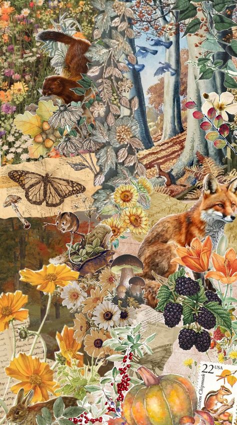 Autumn woods #vintage #autumn #fall #woodland #fox #chipmunk #weasel #mink #mice #vole #bird illustration #flowers Autumn Woods, Woodland Fox, Fox Illustration, Vintage Autumn, Rainbow Wallpaper, Wood Wallpaper, Vintage Fall, Cute Fox, Bird Illustration