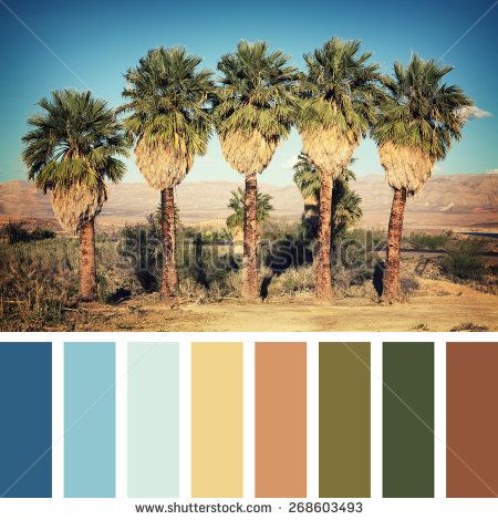 Desert Color Palette, Movie Color Palette, Bedroom Colour Palette, Desert Living, Desert Colors, Nevada Usa, Paint Color Palettes, Green Colour Palette, Tropical Colors