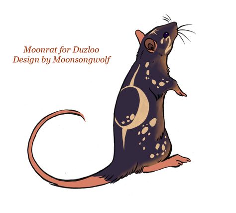 #moon #rat ! // i love this since my rats' names are Saturn & Jupiter :) Rat Art, Rat Tattoo, Night Sky Moon, A Rat, Cute Rats, Sky Moon, Pet Rats, Creature Concept Art, Animal Sketches